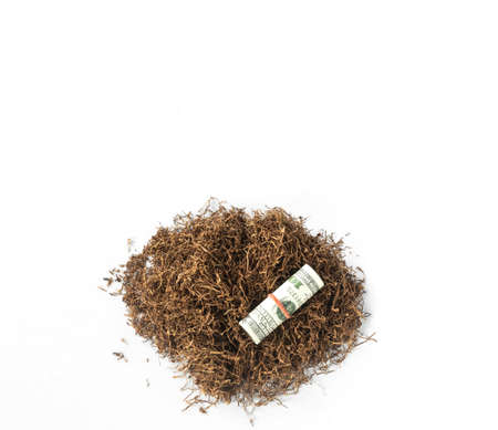 roll of money lay on heap of tobacco in white background from top view. use for concept tobacco trading, tobacco economy.の写真素材