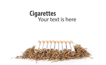 group of cigarettes  lay on heap of tobacco in white background. concept for narcotic, illness.の写真素材