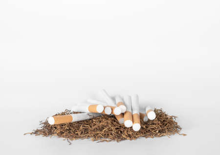 a lot of cigarettes on pile of tobacco lay on white background with copy space. concept for narcotic,illness.の写真素材