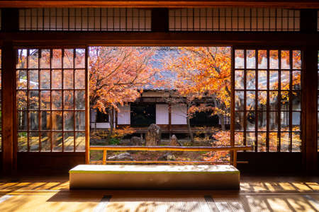 Looking from a Japanese-style room to the courtyard of autumn leaves, sunnyの写真素材