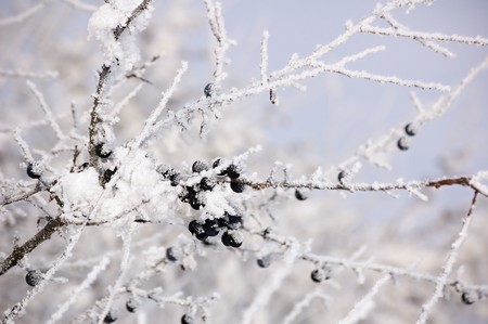 Winter sceneryの写真素材