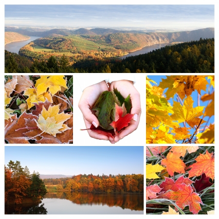 Autumn collage