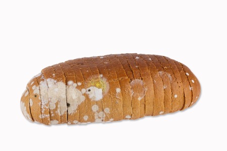 Moldy sliced bread loaf over a white background. の写真素材