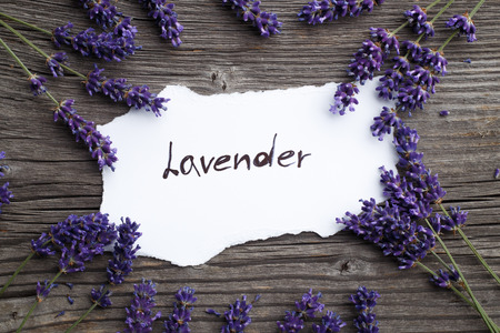 Lavender flowers on a wooden background. Floral border or frame with lavender.の写真素材