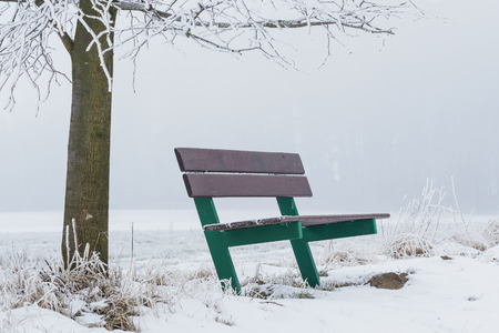 Bench in the fog in winter nature. Winter scene with bench.の写真素材