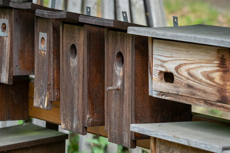 Wooden bird houses in a row, bird boxes.