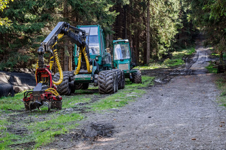 Wheeled harvester for tree harvesting in forest.の写真素材