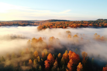 Aerial view of beautiful colorful autumn forest in low clouds at sunrise.の素材