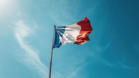 Flag of France blowing in the wind.の素材