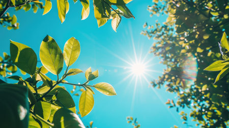 Vibrant sunbeam shining through fresh leavesの素材