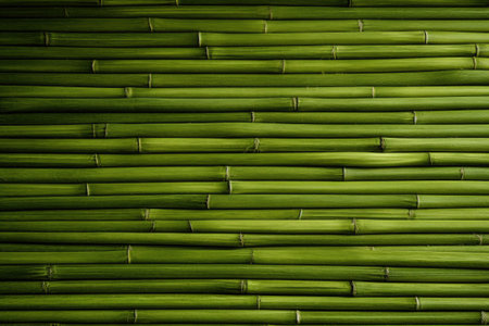 Green bamboo background textureの素材
