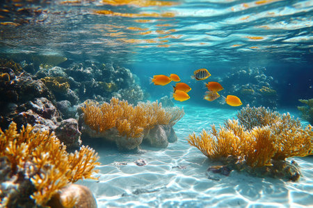 Underwater view of a vibrant coral reef teeming with colorful fish and bathed in sunlightの素材