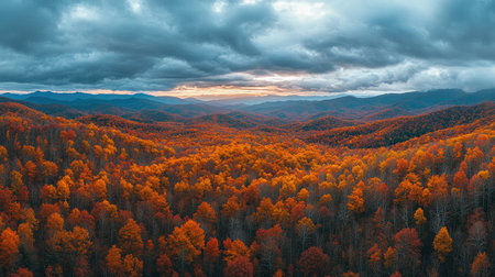Aerial view of a vast forest changing colors in autumn with the sunset illuminating the backgroundの素材