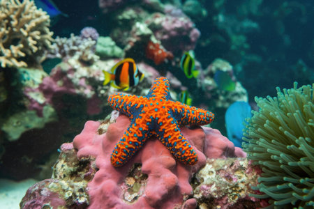 Beautiful starfish displays its vibrant colors on a coral reef, surrounded by tropical fish and marine lifeの素材