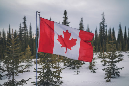 Red and white Canadian flag waving proudly in a snowy forest of pine trees, celebrating Canadian identity and winter landscapesの素材