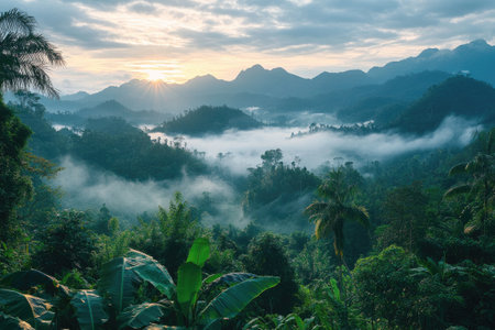 Scenic sunrise over a tropical jungle landscape with fog rolling through the valleysの素材