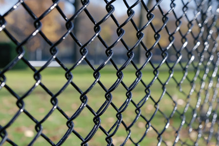 Close up of chain link fence with blurred green park in backgroundの素材
