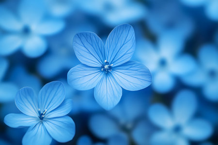 Beautiful blue flowers in soft focus create a dreamy and serene floral backgroundの素材
