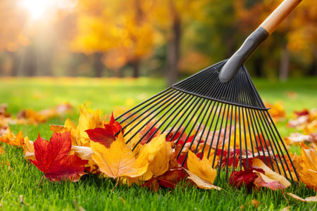 Metal rake collecting fallen leaves on a green lawn in a park during a sunny autumn dayの素材