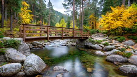 Scenic view of a wooden bridge over a clear mountain stream surrounded by colorful autumn treesの素材