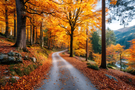 Forest path winding through vibrant orange and yellow fall foliage under a clear skyの素材