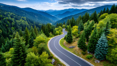 Winding mountain road passing through a lush green forestの素材