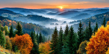 Panoramic view of an autumn forest valley with sunrise casting light over morning fogの素材