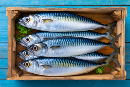 Fresh mackerel fish presenting blue stripes in a rustic wooden crate on a blue backgroundの素材