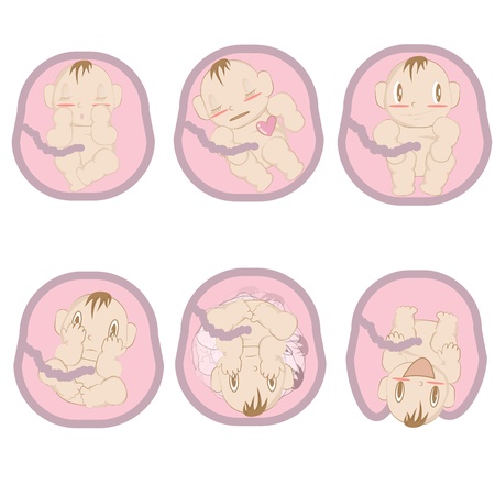 illustration of baby fetus in motherのイラスト素材