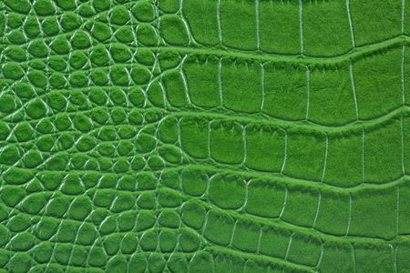 Green snake leather.の写真素材