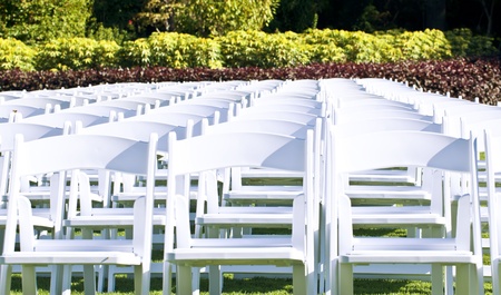Set of chairs in garden.の写真素材