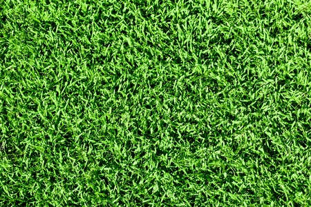 Green seamless fresh grass.の写真素材