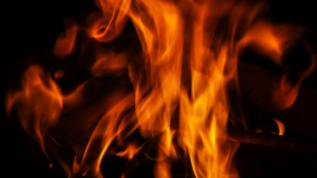 Wood fireの写真素材