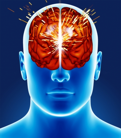 Brain detailの写真素材