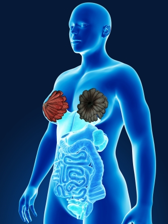 Woman breast cancerの写真素材