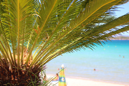 Summer by the seaの写真素材