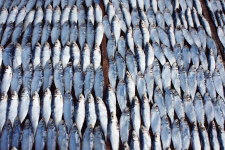 Dried fish is dry foodstuff, this food product by mix salt with fresh fish and then place them under...