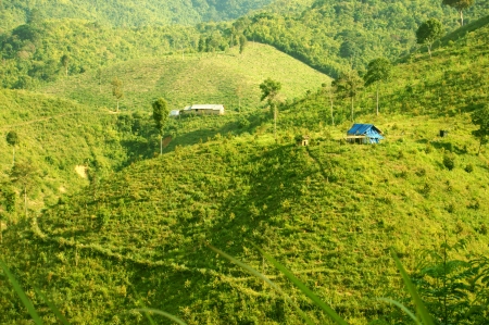  House on hill in mountain with green meadow の写真素材