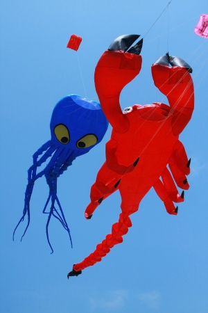 Kite with crab and cuttle  s shape flying in the air against blue skyのeditorial素材