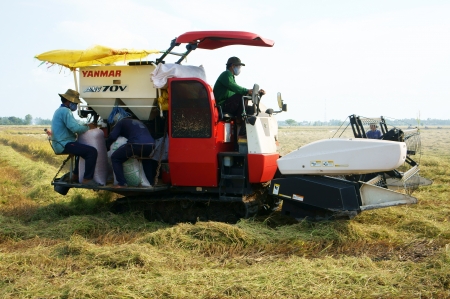  Farmer harvesting ripe rice on paddy field by farm tractor Dong Thap, Viet Nam, November 12, 2013