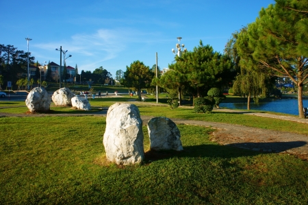 Romantic landscape with rocks reflect shade on grass meadow, row of pine trees along path way, fresh air,  sky in blue and sunny cover in vibrant in Dalat cityの写真素材