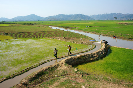  DAKLAK, VIETNAM- FEB 7: Farmer pump water to rice field for crop, he walk on dike, impression of vast paddy plantation with irrigation canal system, Viet Nam, Feb 7, 2014 のeditorial素材