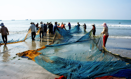 BINH THUAN, VIETNAM- JAN 22: Crowded atmosphere on beach with impression 's group of fisherman pull fish net, row of people with long net in hand, Viet Nam, Jan 22, 2014                           のeditorial素材