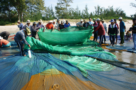 BINH THUAN, VIETNAM- JAN 22: Crowded atmosphere on beach with impression 's group of fisherman pull fish net, row of people with long net in hand, Viet Nam, Jan 22, 2014                           のeditorial素材