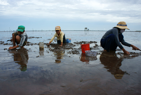 MEKONG DELTA, VIETNAM- JULY 8 Unidentified children, women working on beach when tide going out, people rake black sand to catch sell fish, many child labor at poor countryside, Viet Nam, July 8, 2014のeditorial素材