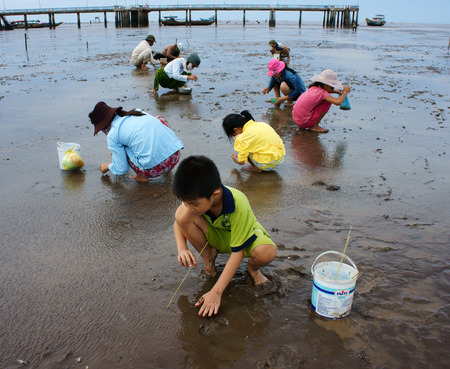 MEKONG DELTA, VIETNAM- JULY 8 Unidentified children, women working on beach when tide going out, people rake black sand to catch sell fish, many child labor at poor countryside, Viet Nam, July 8, 2014のeditorial素材