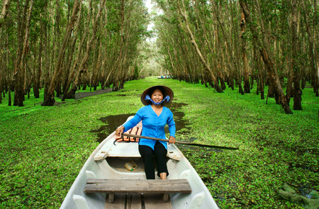 AN GIANG, VIET NAM- SEPT 22: Tra Su indigo forest, eco tourist area at Mekong Delta for green ecotourism, friendly woman rowing the row boat, hyacinth cover water, tree flooded, Vietnam, Sept 22, 2014のeditorial素材