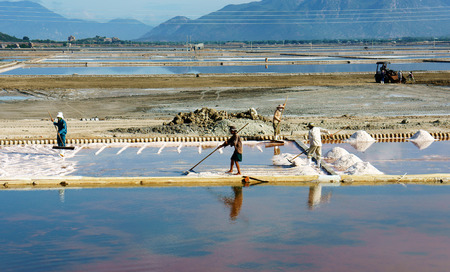 NINH THUAN; VIET NAM- OCT24: Group of Asian farmer working on salt plantation on day; Vietnamese man...