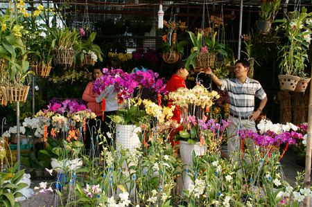 HO CHI MINH CITY, VIET NAM- FEB 9: Spring on Saigon street, outdoor market that show colorful flower on pavement, Tet also lunar New Year is traditional culture of Vietnamese, Vietnam, Feb 9, 2015のeditorial素材