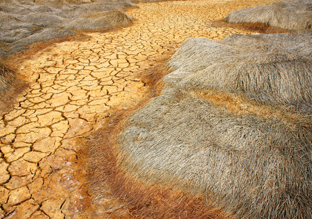 Hay on drought land, amazing arid and cracked ground, climate change made agriculture plantation have to reduct, in summer it very hot, warming is global problem, cause by greenhouse effectの写真素材
